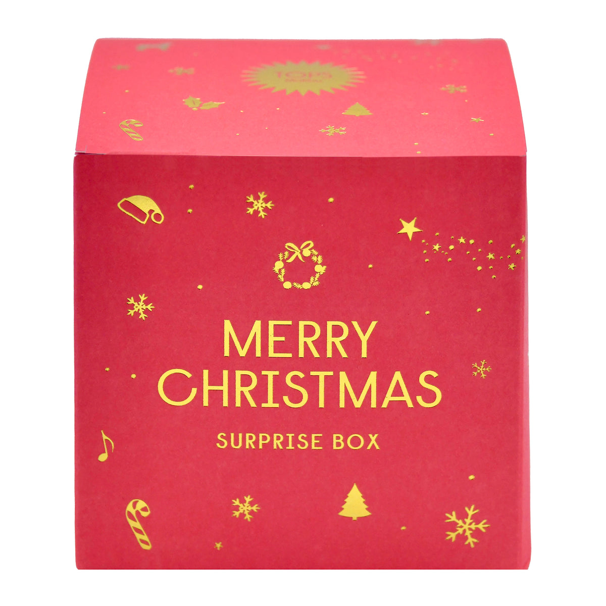Merry Christmas Surprise Box