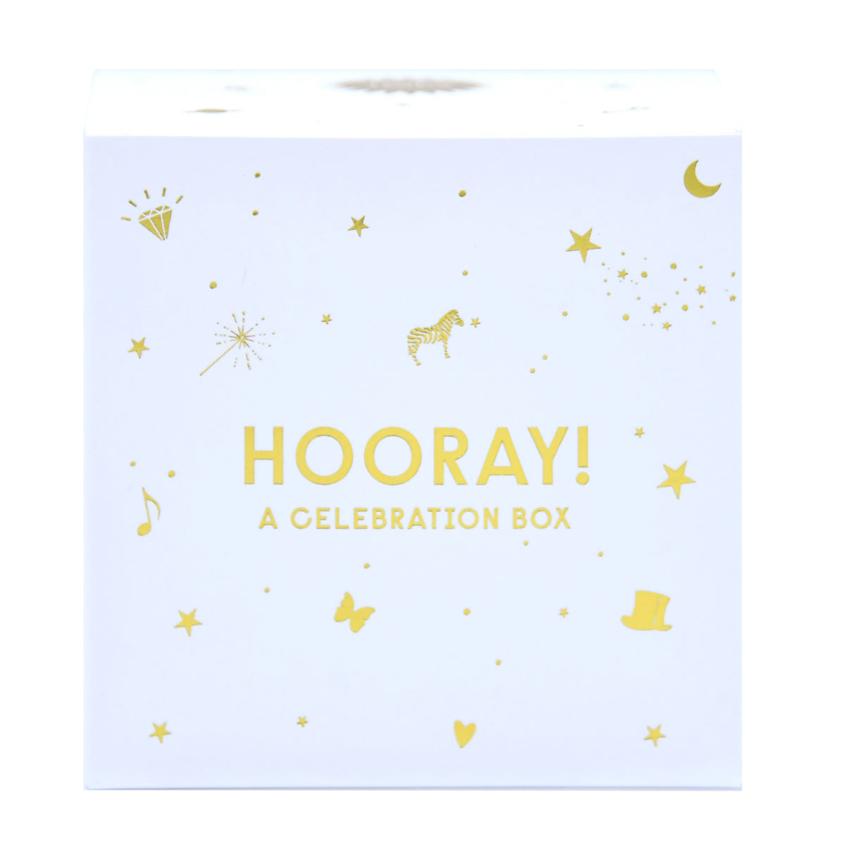 Hulpvebraration Box Birthday In a Box - Birthday Party Gift Box - TOPS Malibu