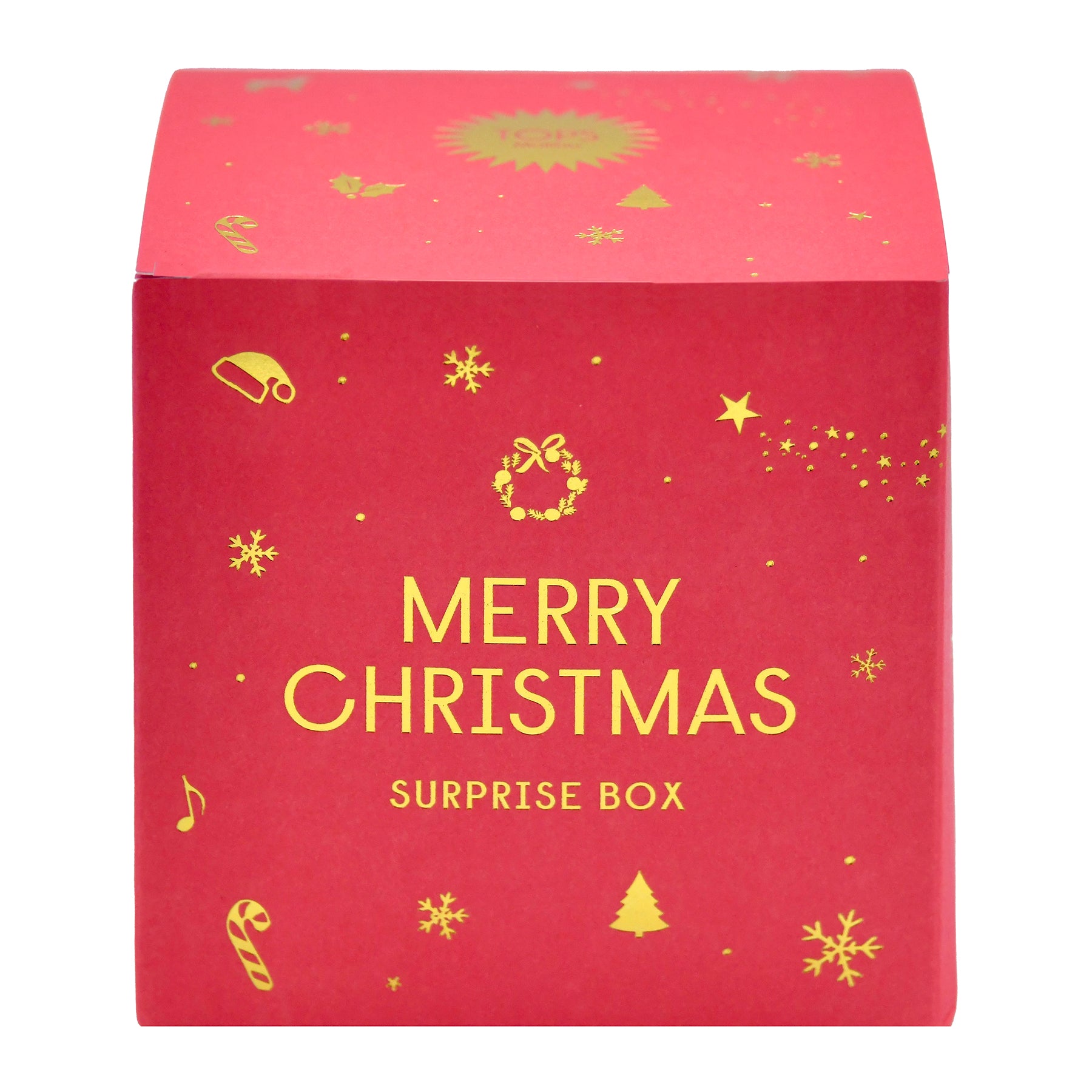 Merry Christmas Holiday Box with 7 Gifts - TOPS Malibu