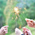 Deluxe Sparkler Gold Stars 12"