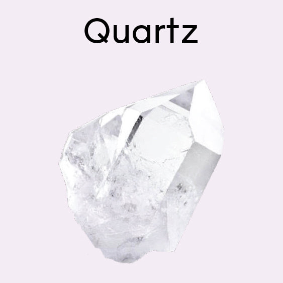 Little Surprizes™ 24 pack