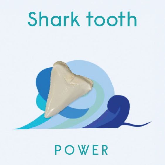 Little Surprizes™ 24 pack