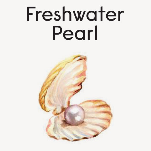 Little Surprizes™ 24 pack