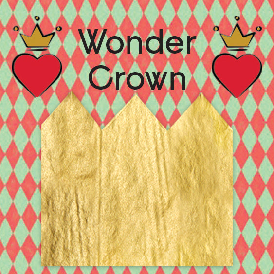 Little Surprizes™ 24 pack