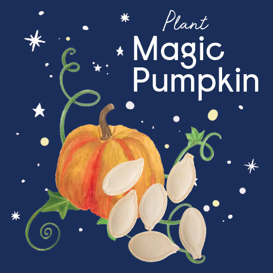 10 Little Surprizes™ Halloween