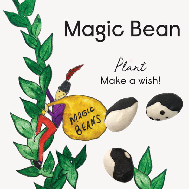 Little Surprizes™ 24 pack