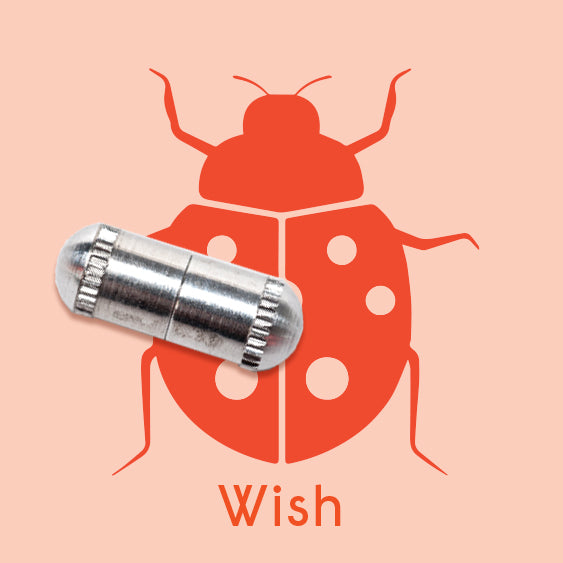 Wish Capsules Single