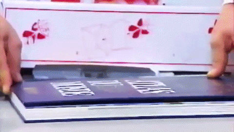 Flying Magic Butterfly - TOPS Malibu