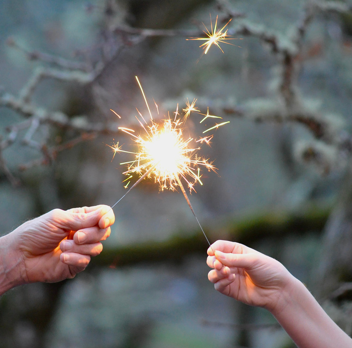 Sparklettes Holiday 8"