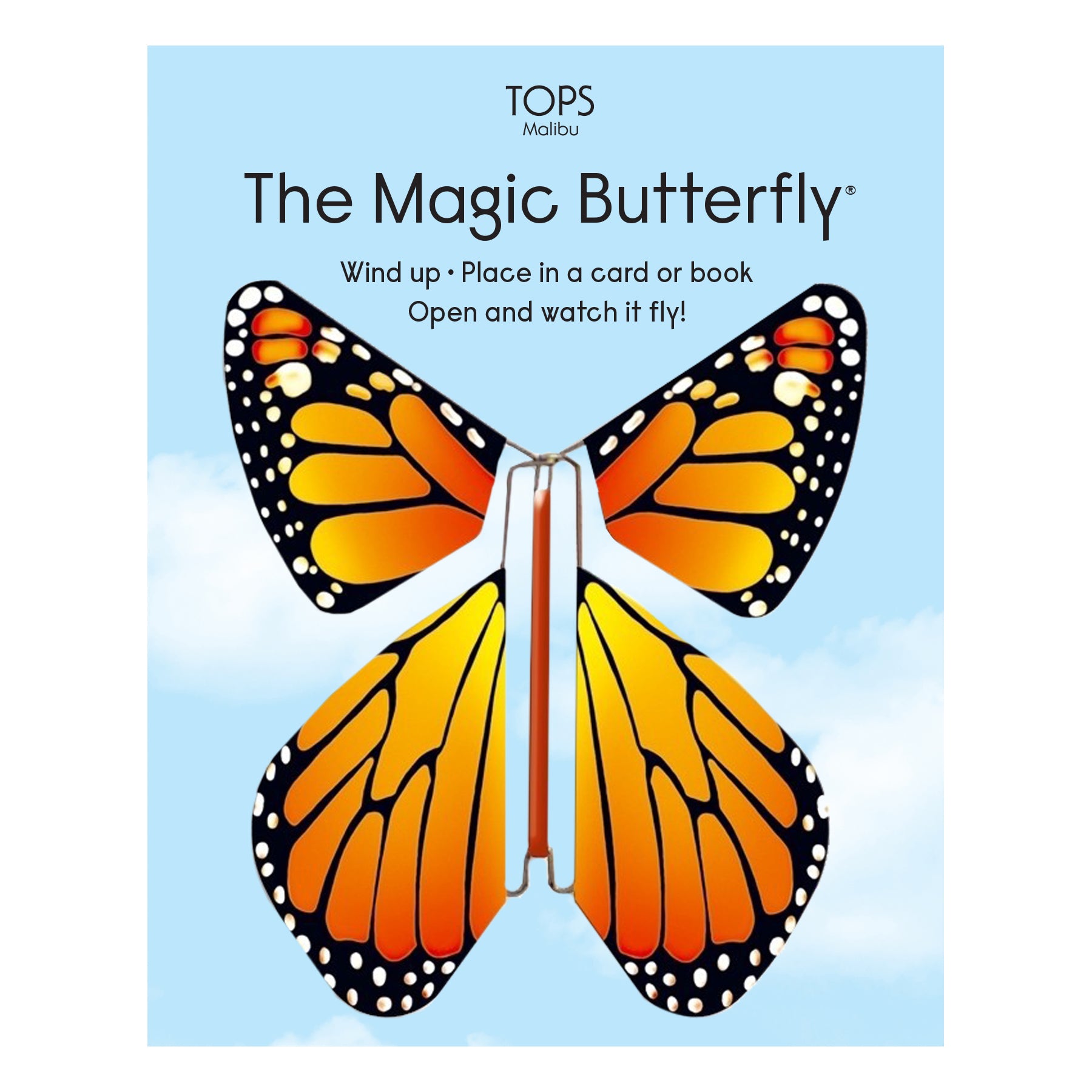 Magic Rainbow Butterfly Magic Rainbow Butterfly