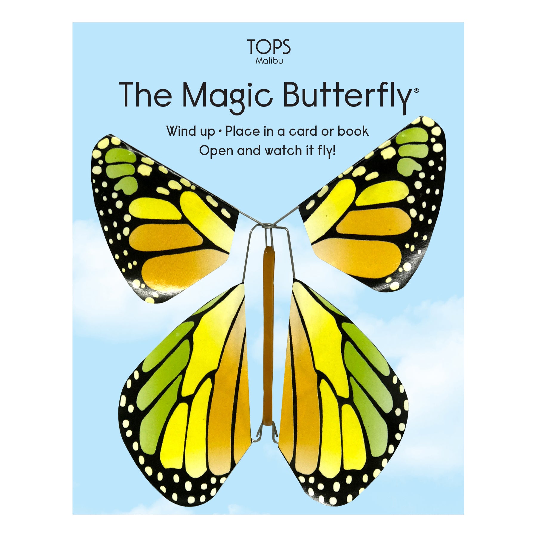 Magic Rainbow Butterfly Magic Rainbow Butterfly